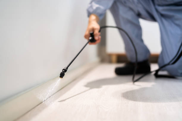 Licensed Cockroach Control service in Miami, FL - Nex Pest Control