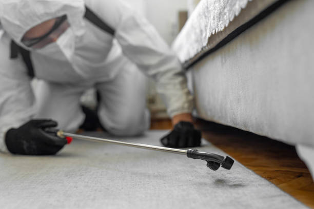 Professional Cockroach Control technician working in Miami, FL