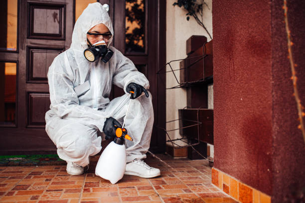 Reliable Cockroach Control contractor in Miami, FL by Nex Pest Control