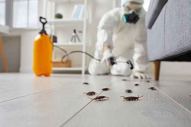 Affordable Cockroach Control solutions in Miami, FL